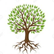 Arbre genealogique stylise